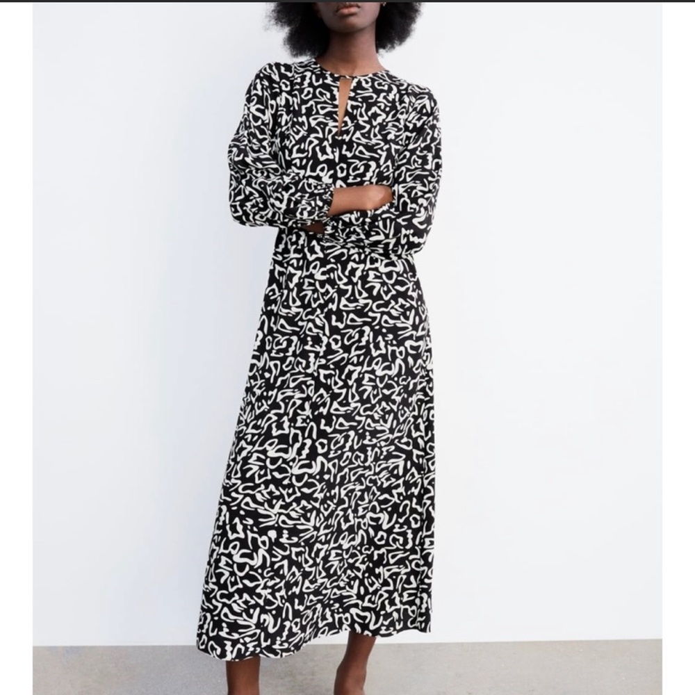 Nwt Zara dress small